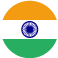 India flag icon representing India